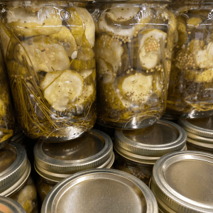 Pint jars of sweet dill pickles